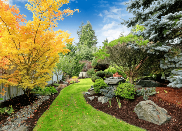 Backyard-Landscape-Design-Landscape-Improvements-1.png