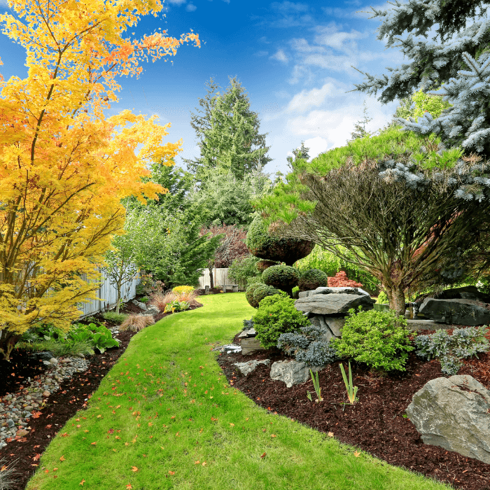 Backyard-Landscape-Design-Landscape-Improvements-1.png